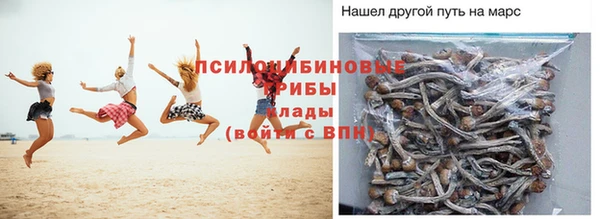 ALPHA-PVP Осташков