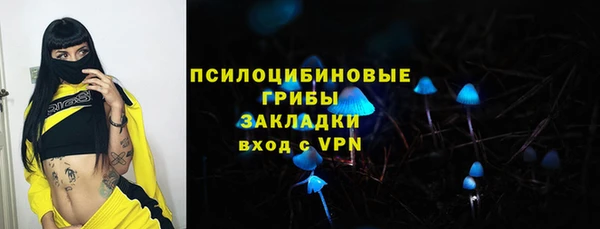 гидра Армянск