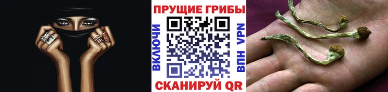 KRAKEN зеркало купить наркоту Рассказово Галлюциногенные грибы Cubensis